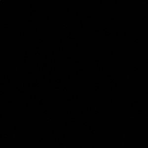 Meet your Posher, Lilly